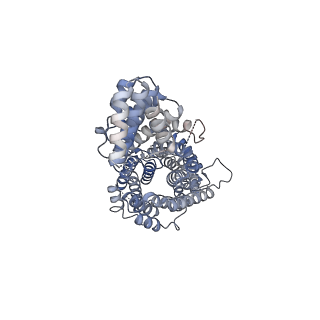 29551_8fy3_B_v1-1
Structure of NOT1:NOT10:NOT11 module of the human CCR4-NOT complex