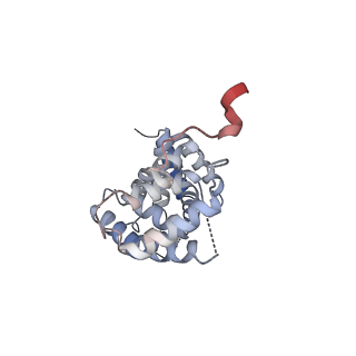 29552_8fy4_A_v1-0
Structure of NOT1:NOT10:NOT11 module of the chicken CCR4-NOT complex