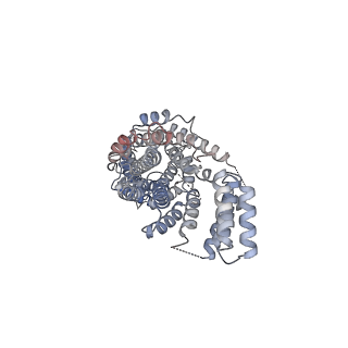 29552_8fy4_B_v1-0
Structure of NOT1:NOT10:NOT11 module of the chicken CCR4-NOT complex
