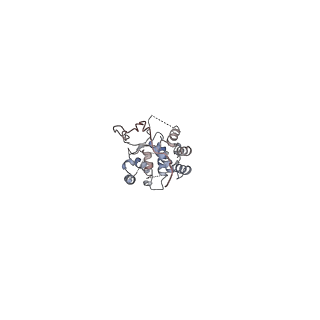 29552_8fy4_C_v1-0
Structure of NOT1:NOT10:NOT11 module of the chicken CCR4-NOT complex