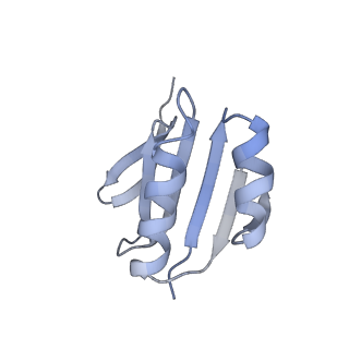 29564_8fyc_A_v1-3
Cryo-EM structure of Cas1:Cas2-DEDDh:half-site integration complex linear CRISPR repeat conformation