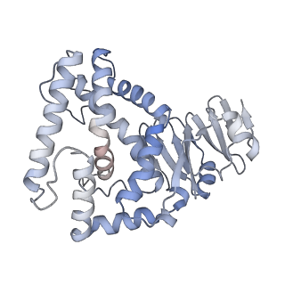 29564_8fyc_B_v1-3
Cryo-EM structure of Cas1:Cas2-DEDDh:half-site integration complex linear CRISPR repeat conformation