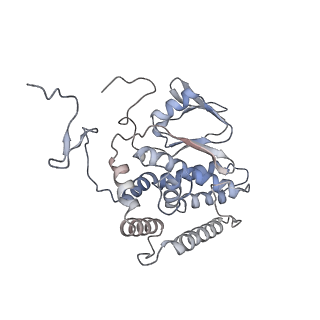 29564_8fyc_C_v1-3
Cryo-EM structure of Cas1:Cas2-DEDDh:half-site integration complex linear CRISPR repeat conformation
