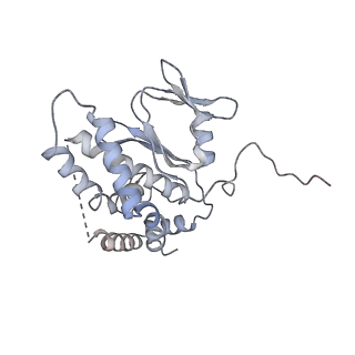 29564_8fyc_F_v1-3
Cryo-EM structure of Cas1:Cas2-DEDDh:half-site integration complex linear CRISPR repeat conformation