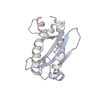 29564_8fyc_K_v1-3
Cryo-EM structure of Cas1:Cas2-DEDDh:half-site integration complex linear CRISPR repeat conformation