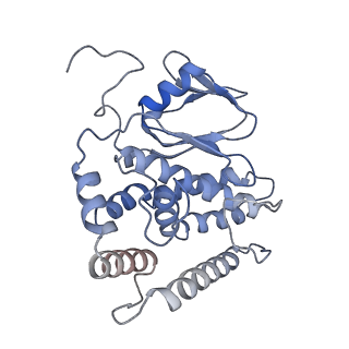 29565_8fyd_C_v1-3
Cryo-EM structure of Cas1:Cas2-DEDDh:half-site integration complex bent CRISPR repeat conformation