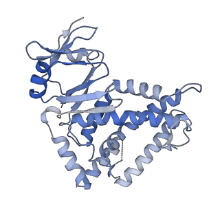 29565_8fyd_E_v1-3
Cryo-EM structure of Cas1:Cas2-DEDDh:half-site integration complex bent CRISPR repeat conformation
