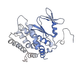 29565_8fyd_F_v1-3
Cryo-EM structure of Cas1:Cas2-DEDDh:half-site integration complex bent CRISPR repeat conformation