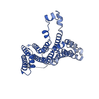 29572_8fyf_A_v1-2
Human TMEM175-LAMP1 transmembrane domain only complex