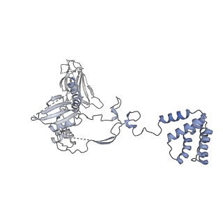 29578_8fyh_B_v1-0
G4 RNA-mediated PRC2 dimer
