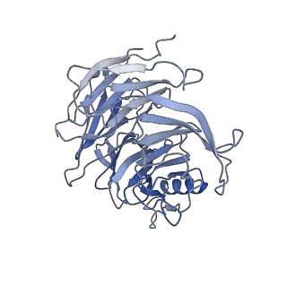 29578_8fyh_C_v1-0
G4 RNA-mediated PRC2 dimer