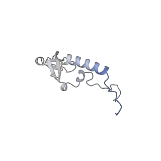 29578_8fyh_F_v1-0
G4 RNA-mediated PRC2 dimer
