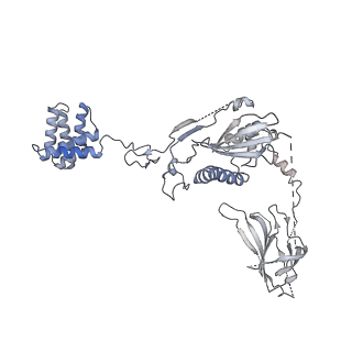 29578_8fyh_H_v1-0
G4 RNA-mediated PRC2 dimer