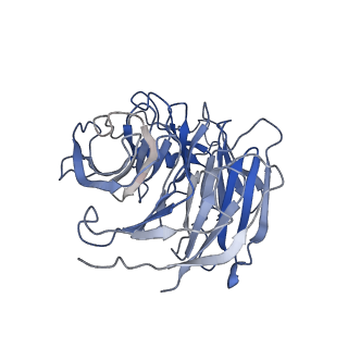 29578_8fyh_I_v1-0
G4 RNA-mediated PRC2 dimer