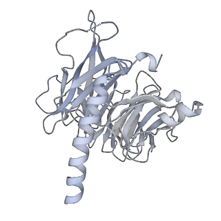 29578_8fyh_J_v1-0
G4 RNA-mediated PRC2 dimer