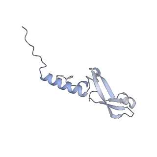 29578_8fyh_L_v1-0
G4 RNA-mediated PRC2 dimer