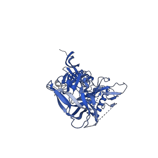 29579_8fyi_B_v1-2
Structure of HIV-1 BG505 SOSIP-HT1 in complex with one CD4 molecule
