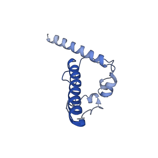 29579_8fyi_E_v1-2
Structure of HIV-1 BG505 SOSIP-HT1 in complex with one CD4 molecule
