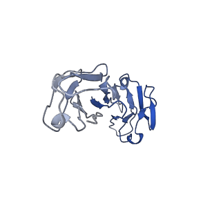 29579_8fyi_Z_v1-2
Structure of HIV-1 BG505 SOSIP-HT1 in complex with one CD4 molecule