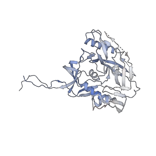 29580_8fyj_A_v1-2
Structure of HIV-1 BG505 SOSIP-HT2 in complex with two CD4 molecules (class I)