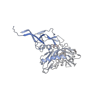 29580_8fyj_C_v1-2
Structure of HIV-1 BG505 SOSIP-HT2 in complex with two CD4 molecules (class I)