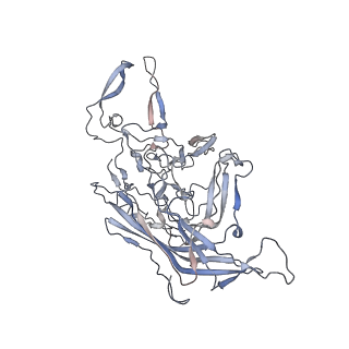 29598_8fyw_1_v1-0
Cryo-EM Structure of genome containing AAV2