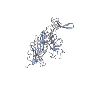 29598_8fyw_2_v1-0
Cryo-EM Structure of genome containing AAV2