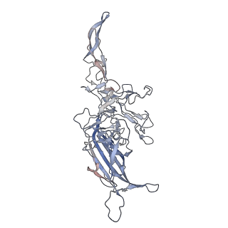 29598_8fyw_3_v1-0
Cryo-EM Structure of genome containing AAV2