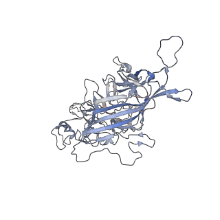 29598_8fyw_4_v1-0
Cryo-EM Structure of genome containing AAV2
