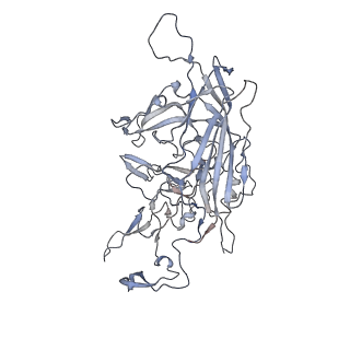 29598_8fyw_5_v1-0
Cryo-EM Structure of genome containing AAV2