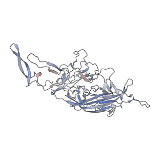 29598_8fyw_6_v1-0
Cryo-EM Structure of genome containing AAV2