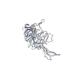 29598_8fyw_7_v1-0
Cryo-EM Structure of genome containing AAV2