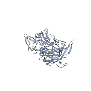 29598_8fyw_8_v1-0
Cryo-EM Structure of genome containing AAV2