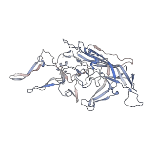 29598_8fyw_A_v1-0
Cryo-EM Structure of genome containing AAV2