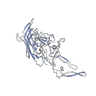 29598_8fyw_C_v1-0
Cryo-EM Structure of genome containing AAV2