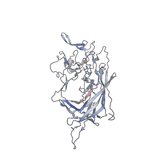 29598_8fyw_E_v1-0
Cryo-EM Structure of genome containing AAV2