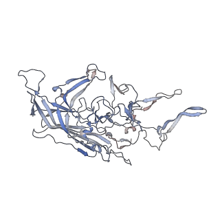 29598_8fyw_F_v1-0
Cryo-EM Structure of genome containing AAV2