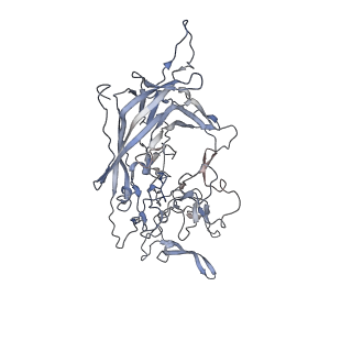 29598_8fyw_G_v1-0
Cryo-EM Structure of genome containing AAV2