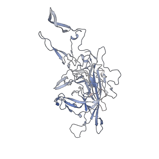 29598_8fyw_H_v1-0
Cryo-EM Structure of genome containing AAV2