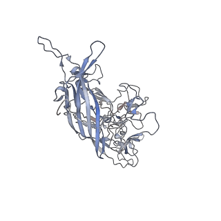 29598_8fyw_J_v1-0
Cryo-EM Structure of genome containing AAV2