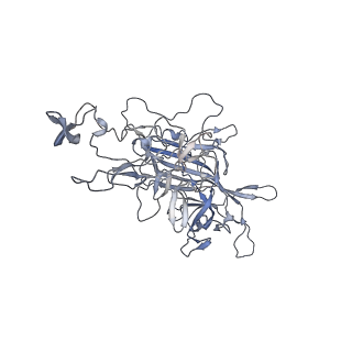 29598_8fyw_K_v1-0
Cryo-EM Structure of genome containing AAV2