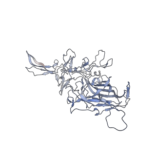 29598_8fyw_L_v1-0
Cryo-EM Structure of genome containing AAV2