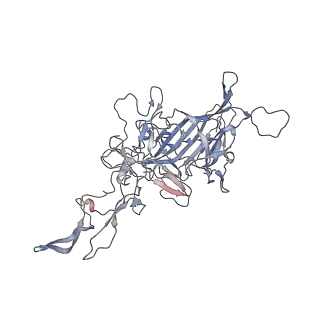 29598_8fyw_M_v1-0
Cryo-EM Structure of genome containing AAV2