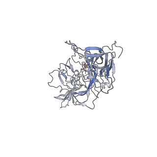 29598_8fyw_N_v1-0
Cryo-EM Structure of genome containing AAV2