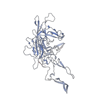 29598_8fyw_P_v1-0
Cryo-EM Structure of genome containing AAV2