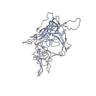 29598_8fyw_Q_v1-0
Cryo-EM Structure of genome containing AAV2