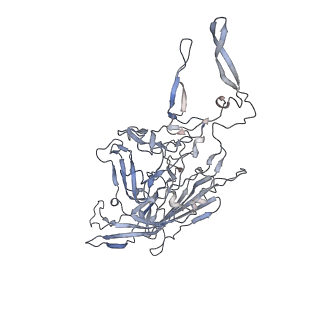 29598_8fyw_R_v1-0
Cryo-EM Structure of genome containing AAV2