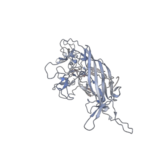 29598_8fyw_S_v1-0
Cryo-EM Structure of genome containing AAV2