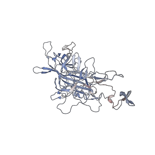 29598_8fyw_T_v1-0
Cryo-EM Structure of genome containing AAV2