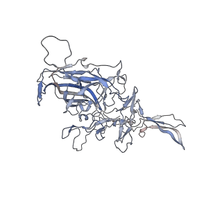 29598_8fyw_U_v1-0
Cryo-EM Structure of genome containing AAV2
